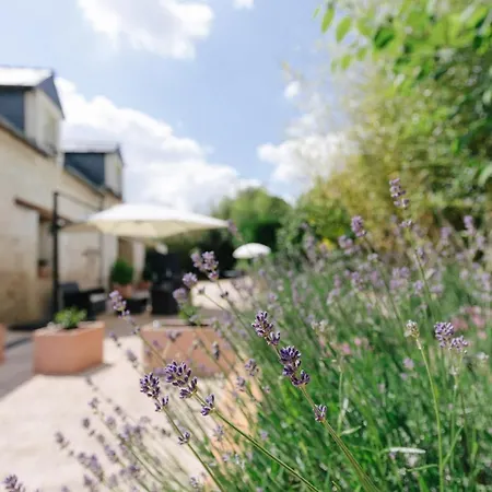 Bed & Breakfast Violette Et Muguet Maze